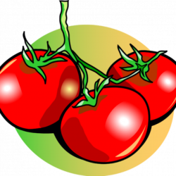 Tomato Clipart bird clipart hatenylo.com