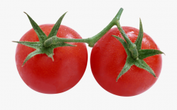 Tomato Clipart Two - Rotten Tomato Png , Transparent Cartoon ...