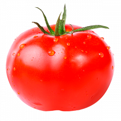 Resultado de imagem para tomate | Coordenacao | Pinterest | Searching
