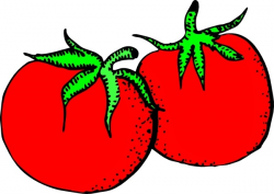 Tomatoes clip art Free vector in Open office drawing svg ( .svg ...