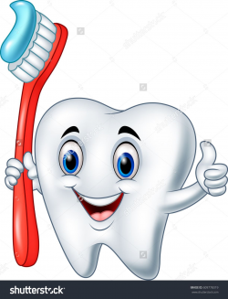 Cartoon tooth holding a tooth brush giving thumb up ...