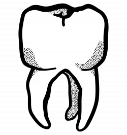 Clipart - tooth - lineart
