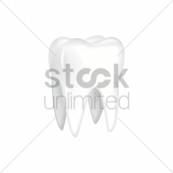 Molar Tooth Drawing at GetDrawings.com | Free for personal use Molar ...