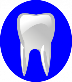 Tooth With Blue Outline Clip Art at Clker.com - vector clip art ...