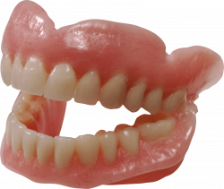 Teeth transparent PNG - StickPNG