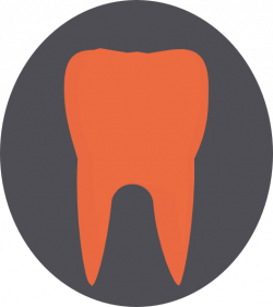 Orange Tooth Clip Art at Clker.com - vector clip art online, royalty ...