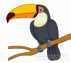 Search Results for toucan - Clip Art - Pictures - Graphics ...