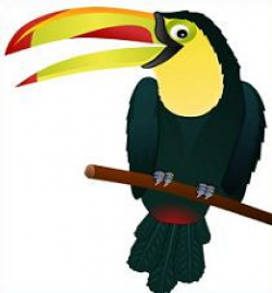 Free Toucan Clipart
