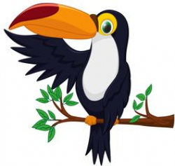 Toucan Cartoon PNG Transparent Image | clip art | Pinterest ...