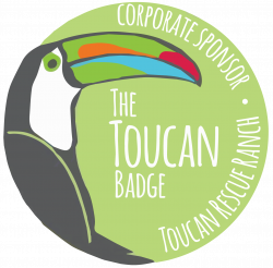 Get Involved – Toucan Rescue Ranch