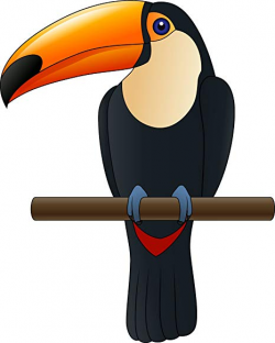 Pretty Cool Rainforest Toucan Bird Perch Cartoon Vinyl ...