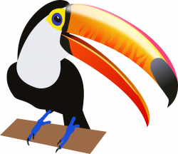 Toucan Clipart Black And White | Free download best Toucan Clipart ...