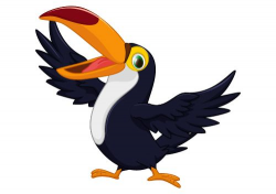 Cartoon toucan bird vector 03 | 吉祥物 | Doodle art, Cartoon ...