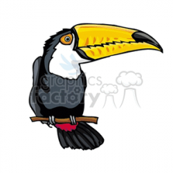 Toco toucan on branch clipart. Royalty-free clipart # 130691