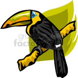 Toucan sitting on a branch clipart. Royalty-free clipart # 130185