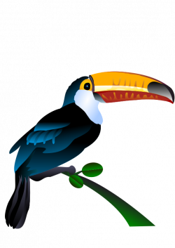 Clipart - tucano