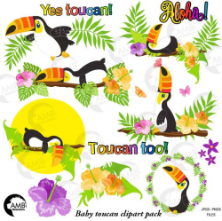 Baby Toucan Clipart, tropical Toucan Clipart, Tropical Clipart, Floral  Clipart, Exotic Clipart, Summer Clipart, Baby Toucan AMB-2458