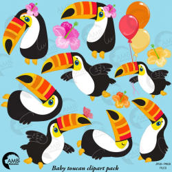 Baby Toucan Clipart, tropical Toucan Clipart, Tropical Clipart, Floral  Clipart, Exotic Clipart, Summer Clipart, Baby Toucan AMB-2457