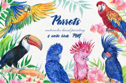 Parrots clipart, watercolor illustrations, exotic birds, cockatoos, macaw,  Toucan, tropical backgrounds