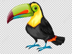 Free Toucan Clipart, Download Free Clip Art on Owips.com