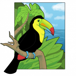 Toucan Cartoons | Free download best Toucan Cartoons on ClipArtMag.com
