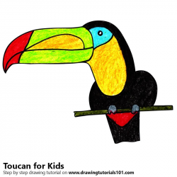 Learn How to Draw a Toucan for Kids (Animals for Kids) Step ...