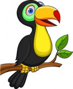 Colorful Toucan Bird | Clipart - Coloring Pages - Animals ...