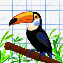 Hand Painted Toucan, Toucan, Yellow Billed Duck ...