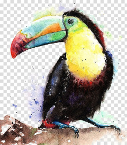 Black and yellow toucan bird painting, Bird Keel-billed ...