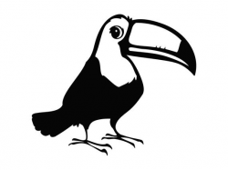Toucan Svg, Bird Svg, Bird Silhouette Cutting File, Toucan Clipart Svg Dxf  Png, Toucan Bird Cut File, Bird Tshirt Vector Image