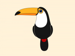 Toco Toucan by Onlyoly on Dribbble