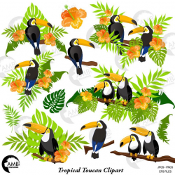 Toucan Clipart, tropical Toucan Clipart, Tropical Clipart, Floral Clipart,  Exotic Clipart, Summer Clipart, AMB-2453