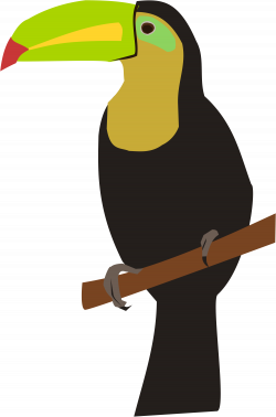 File:Toucan 02.svg - Wikimedia Commons