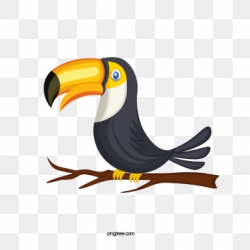 Toucan Png, Vector, PSD, and Clipart With Transparent ...