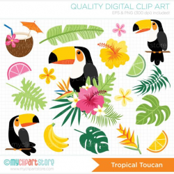 Tropical Toucan Clipart - Tropical Birds / Palm Leaves ...