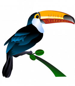 Toucan clipart painted ~ Frames ~ Illustrations ~ HD images ~ Photo ...