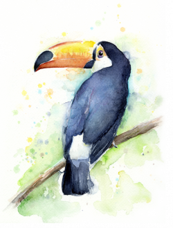Resultado de imagem para toucan watercolor | ACRÍLICA, NANQUIM E ...