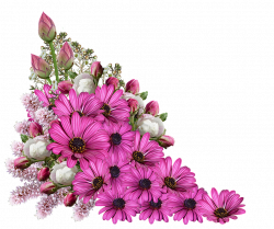 Tiny Flowers PNG Transparent Tiny Flowers.PNG Images. | PlusPNG