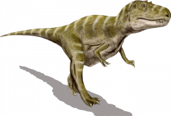 File:Gorgosaurus BW transparent.png - Wikimedia Commons