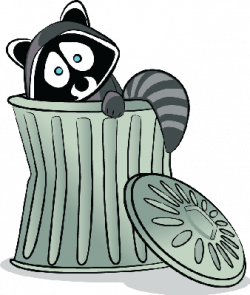 Raccoon in The Trash! | Clipart | Science | Image | PBS LearningMedia