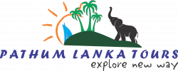 Welcome to Pathum Lanka Tours. Tourist driver in Sri lanka | Pathum ...