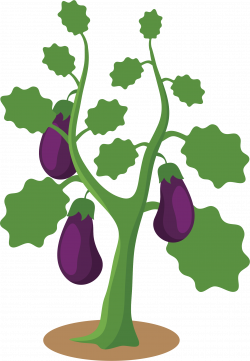 Clipart - Eggplant (#4)