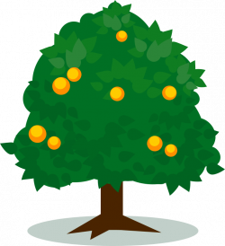 Orange Tree Clipart | Free download best Orange Tree Clipart on ...