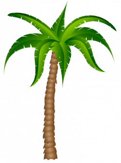 Palm tree palm best clipart - WikiClipArt