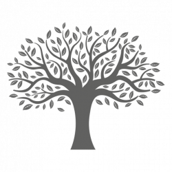 Flat tree silhouette - Transparent PNG & SVG vector