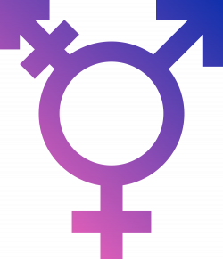 We've All Seen Them — LGBT Symbols – Christiana Lilly