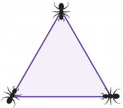 Answer to Riddle #46: Three ants on a triangle