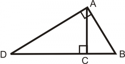 Using Similar Right Triangles | CK-12 Foundation