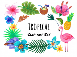Hand Drawn Tropical Clip Art hand drawn tropical clipart