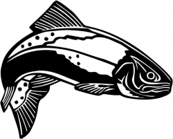 Trout Clip Art - Images, Illustrations, Photos | pic to see ...